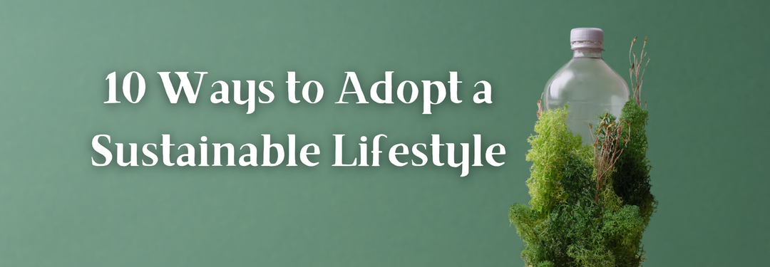 How to Live a Sustainable Lifestyle in 10 Steps