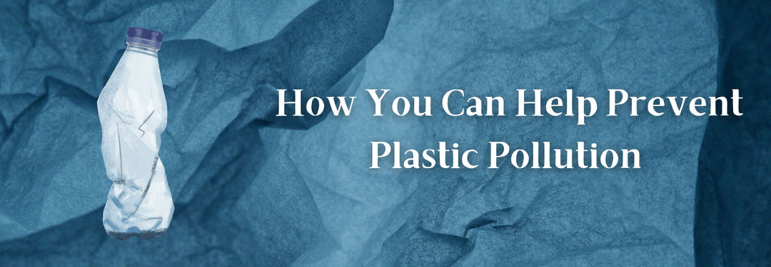 How You Can Help Prevent Plastic Pollution