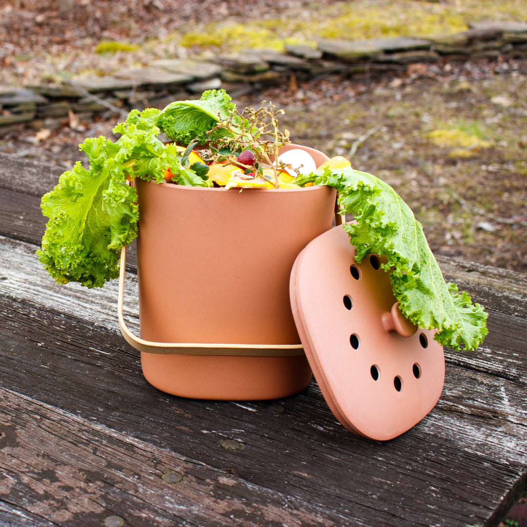 Compost Bin